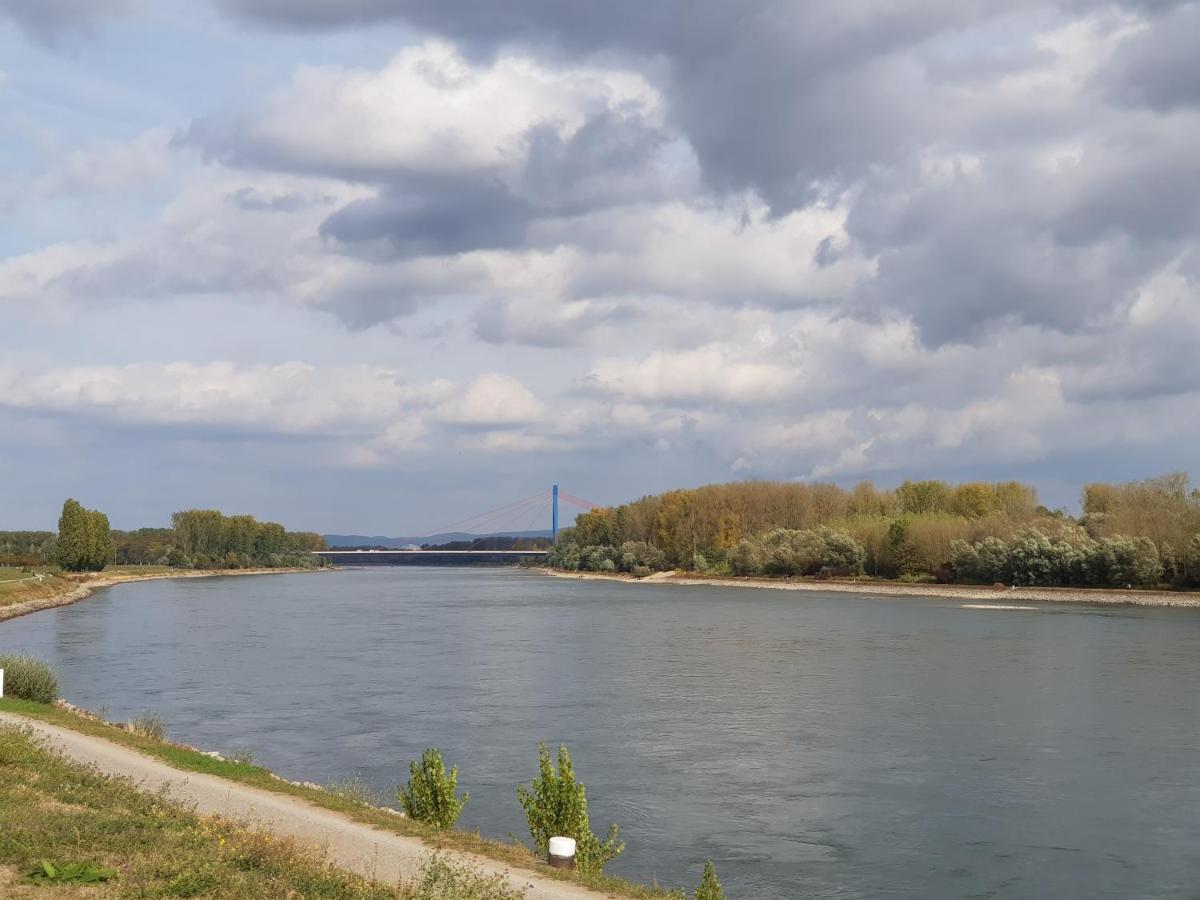 Apartamento Wohnen Direkt Am Rhein, Zentrums- Und Domnah, 55Qm Espira Exterior foto